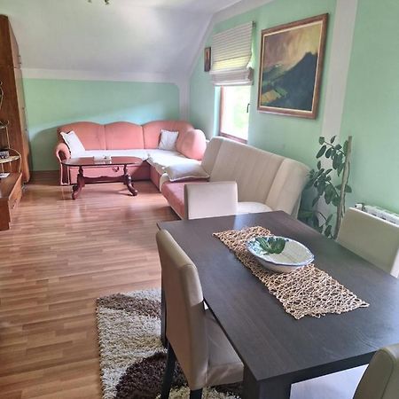 Apartman Sara Pale - Ski Centar Ravna Planina エクステリア 写真