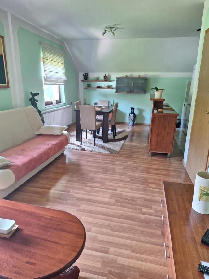 Apartman Sara Pale - Ski Centar Ravna Planina エクステリア 写真