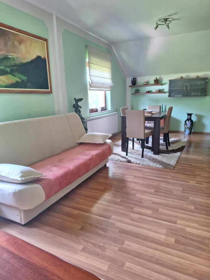Apartman Sara Pale - Ski Centar Ravna Planina エクステリア 写真