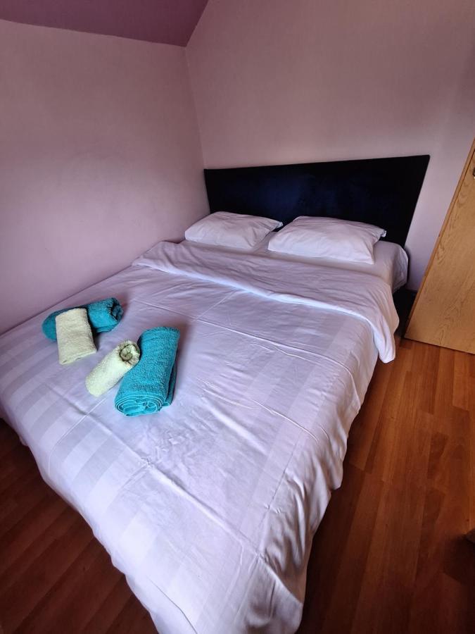 Apartman Sara Pale - Ski Centar Ravna Planina エクステリア 写真