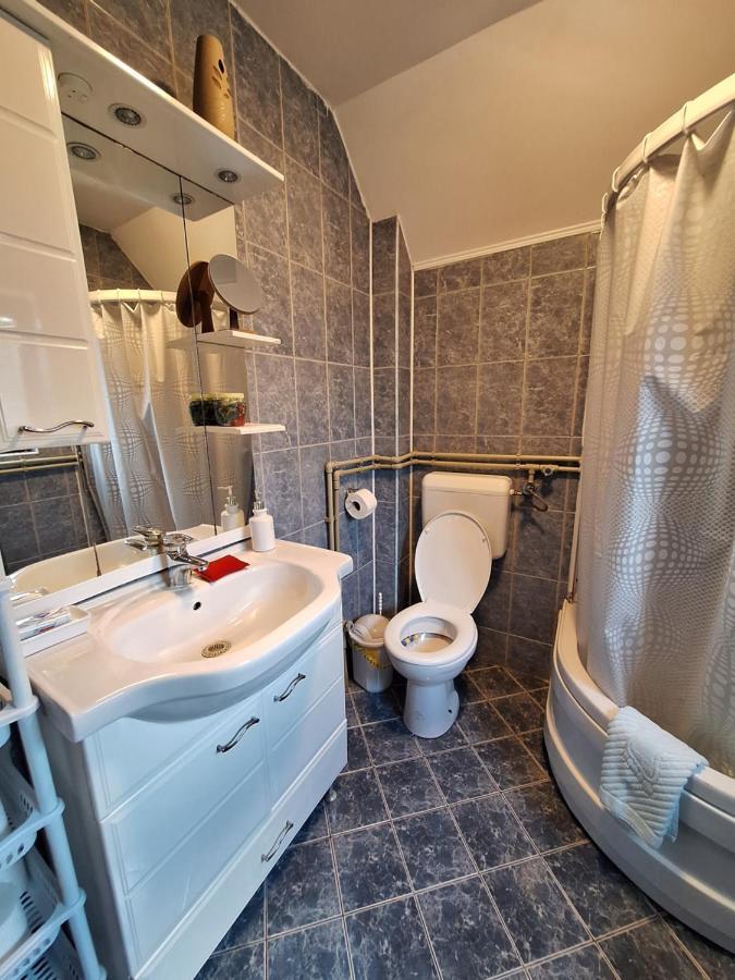 Apartman Sara Pale - Ski Centar Ravna Planina エクステリア 写真
