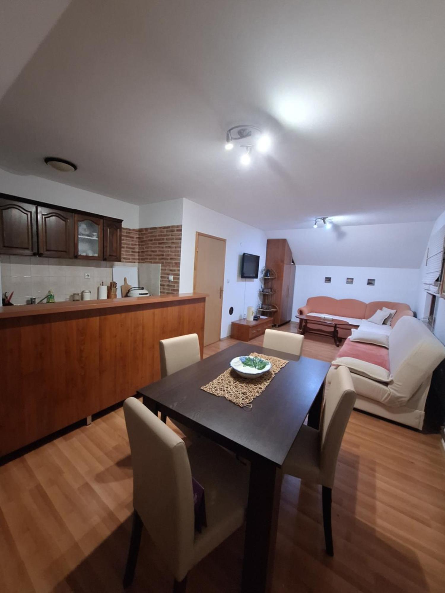 Apartman Sara Pale - Ski Centar Ravna Planina エクステリア 写真