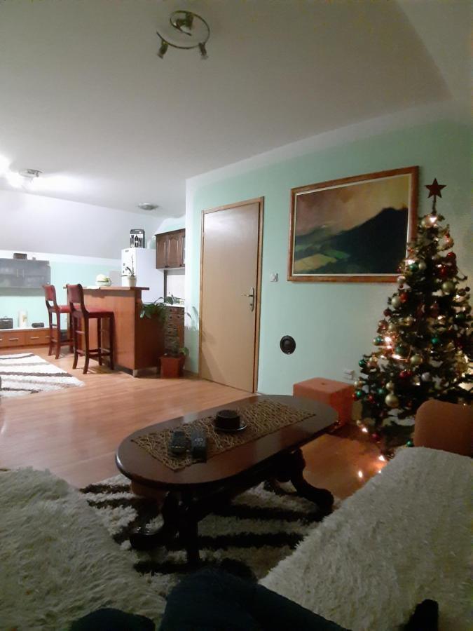 Apartman Sara Pale - Ski Centar Ravna Planina エクステリア 写真